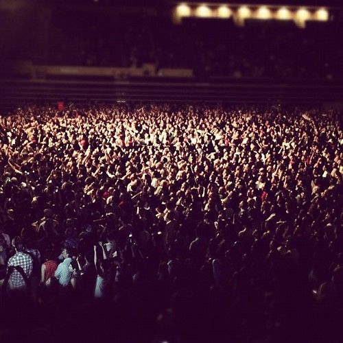 Concert crowd with lights representing global K-pop fandom