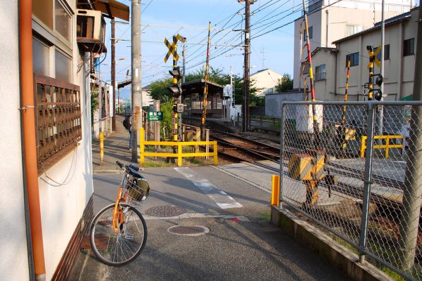 Bicycles lined up for rent on a city street
