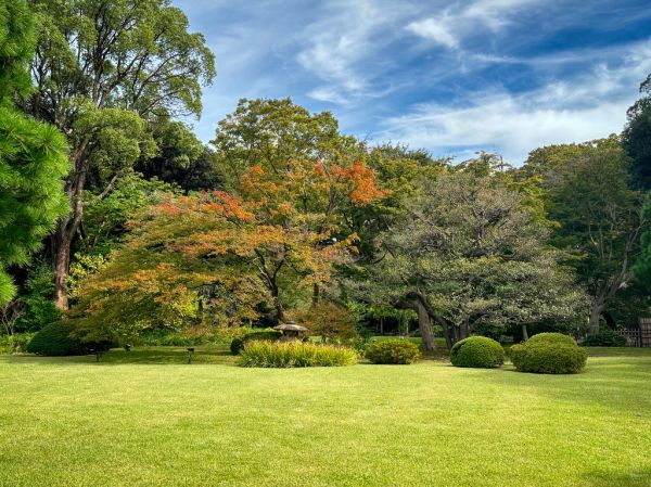 Korean palace grounds with autumn foliage