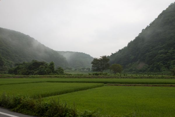 Foggy rural fields in the Korean countryside