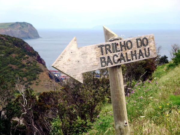 Trail marker signpost along a walking path