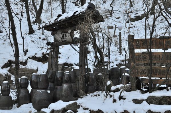 Rows of kimchi and fermented vegetables in traditional Korean clay jars