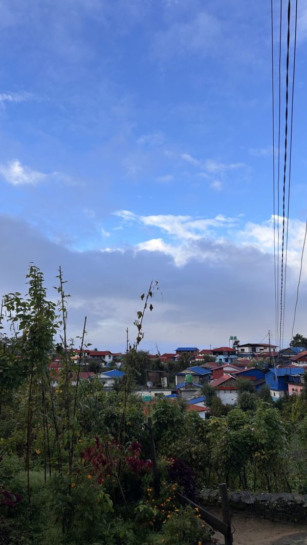 Pastel-colored houses on a hillside in Busan