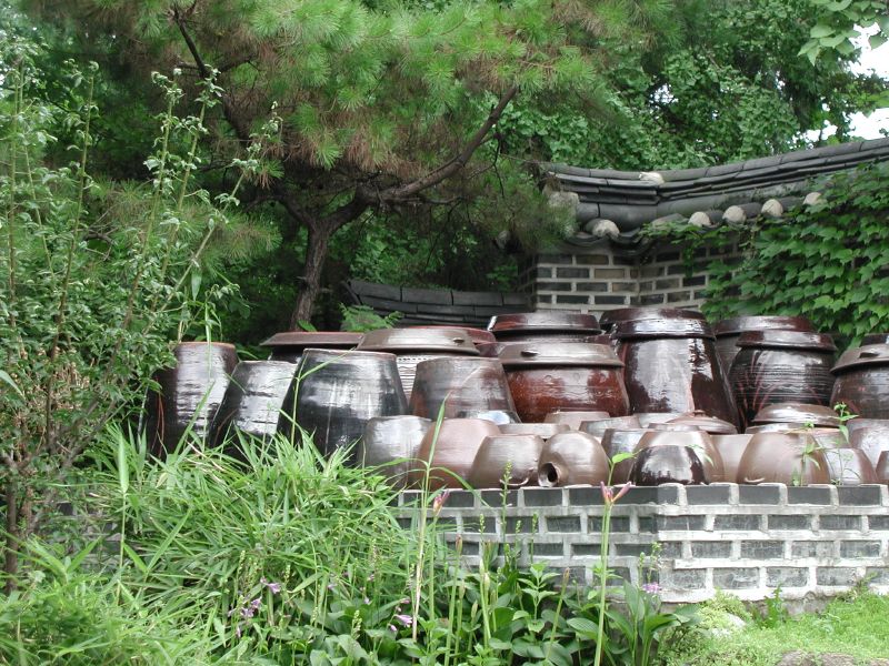 Small dish of kimchi among other Korean side dishes